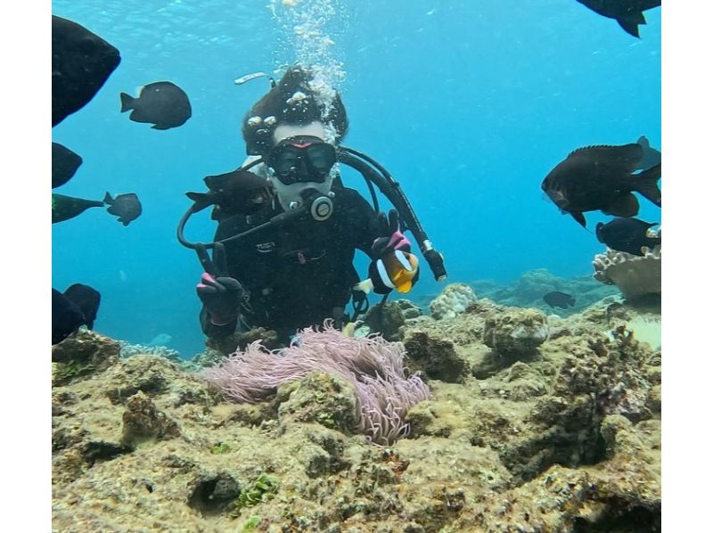 【沖縄北部・ゴリラチョップ】　美ら海水族館近く、初心者OK！ビーチから行く体験ダイビング！送迎も可能！の紹介画像