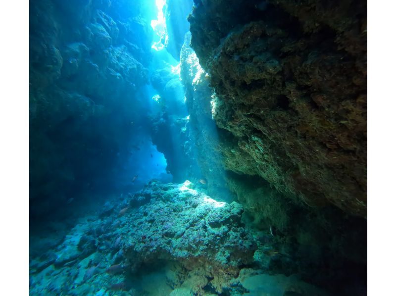  [Okinawa Motobu, Sesoko Island/Minna Island] Near Churaumi Aquarium, 2 boat diving