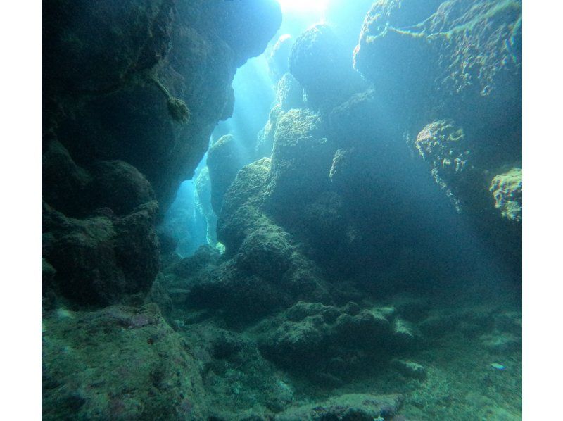  [Okinawa Motobu, Sesoko Island/Minna Island] Near Churaumi Aquarium, 2 boat diving