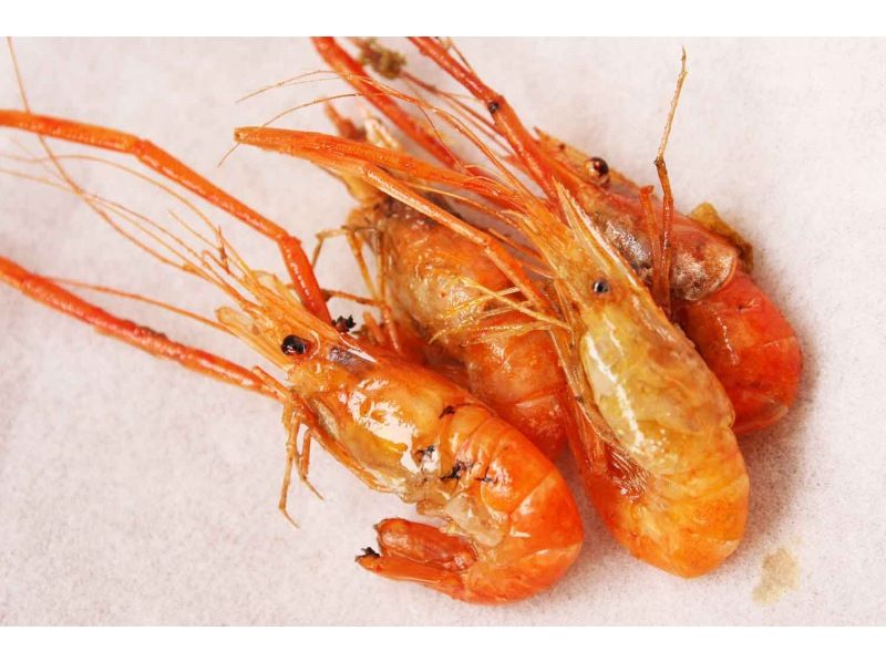 『Tokyo・Kasai』 *Family Friendly* Fishing experience for mantis shrimp and goby, plus lectures on how to raise and eat them.の紹介画像