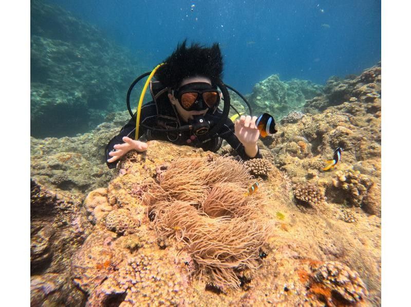 [當天參加◎私人風格的青之洞窟潛水]初學者◎☆流行活動期推遲☆乘船體驗青之洞窟潛水！ ！の紹介画像