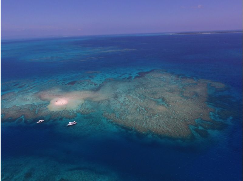 [Okinawa Ishigaki Island Diving] Experience diving with sea turtles and manta rays for a full day of fun ☆ Small group size, beginners and solo travelers are welcome ♪の紹介画像