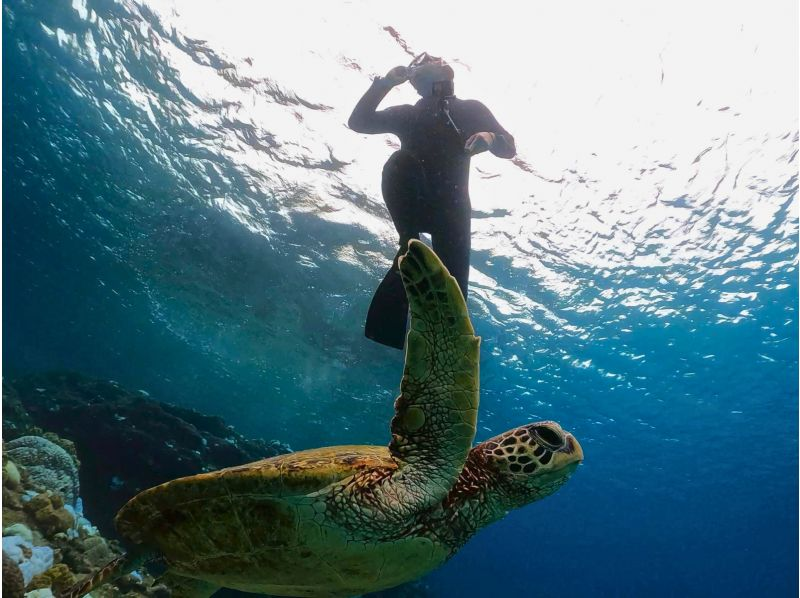 【奄美大島】海龜浮潛體驗之旅！免費水下影片拍攝服務！相遇率：100%！人均0K！の紹介画像