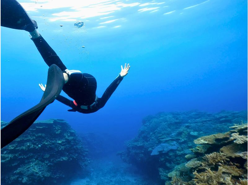 【奄美大島】海龜浮潛體驗之旅！免費水下影片禮物！團體和個人都可以！の紹介画像