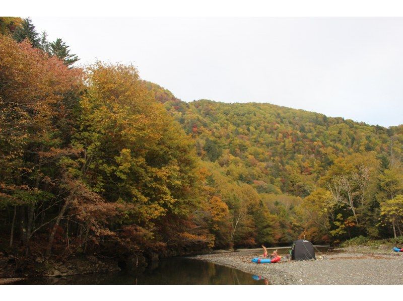 [北海道/日高]在Tiroro河上體驗透明的帳篷桑拿！限1組（租用1棟大樓）の紹介画像