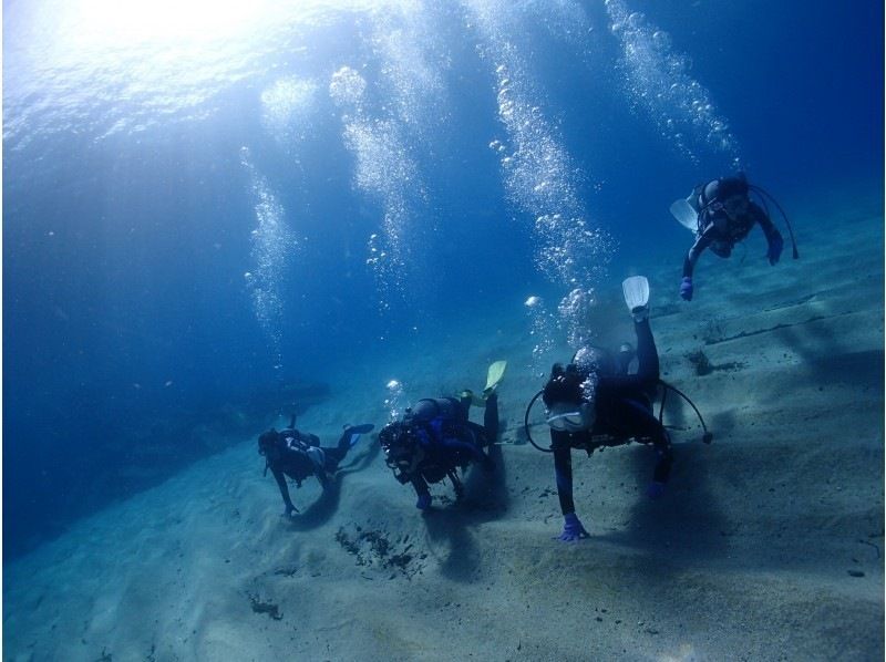 【鹿児島・屋久島】ショートコース体験ダイビング！滞在時間有効活用！水着レンタル無料！屋久島で使える「選べるお楽しみチケット」プレゼント中！