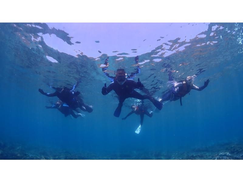 【鹿児島・屋久島】屋久島でシュノーケリング☆手ぶらでOK！ウミガメ探し☆到着日・離島日にも☆バスタオル・水着も無料貸出有り！の紹介画像