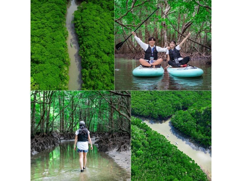 【少人数制/SUP・カヤック】石垣島初！海＆マングローブドローン・一眼レフ撮影付！『青く澄んだ海と上陸できる熱帯雨林』島人プロカメラマン案内の紹介画像