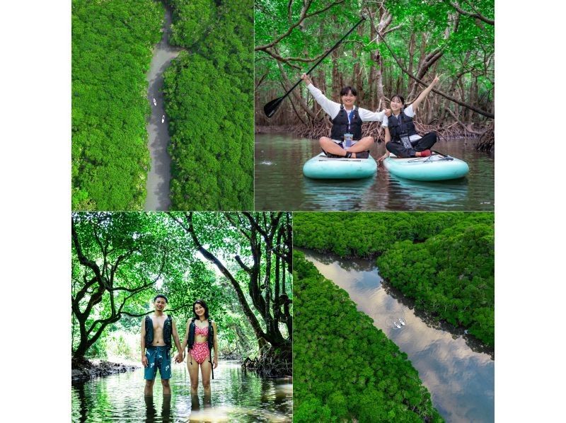 [Private tour for one group/SUP/canoe] Ishigaki Island's first! Mangrove & ocean drone/SLR photography included! "Tropical rainforest and clear blue ocean you can land on" guided by a professional island photographer!の紹介画像