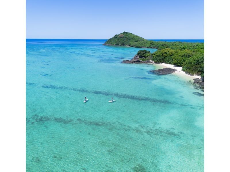 【少人数制/SUP・カヤック】２才〜可！海＆マングローブドローン・一眼レフ撮影付！『青く澄んだ海と上陸できる熱帯雨林』島人プロカメラマン案内の紹介画像