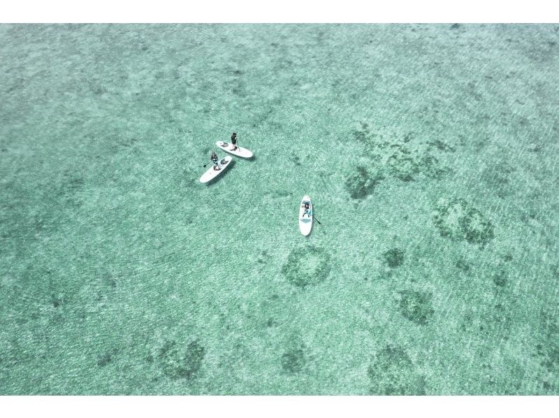 [Ishigaki Island / Limited to one group] Okinawa's first! Mangrove & ocean drone photography included! Mangrove that you can land on & crystal clear ocean SUP/canoe! Guided by a professional island photographerの紹介画像