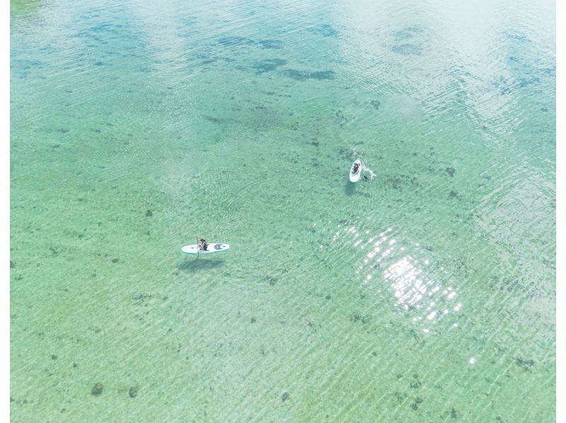 [Private tour for one group/SUP/canoe] Ishigaki Island's first! Mangrove & ocean drone/SLR photography included! "Tropical rainforest and clear blue ocean you can land on" guided by a professional island photographer!の紹介画像