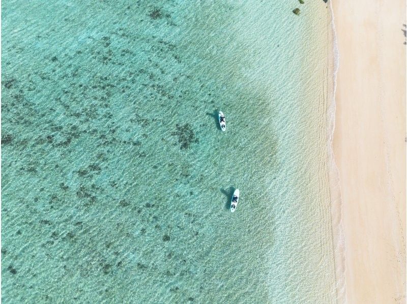 [Small group/SUP/Kayak] Ishigaki Island's first! Mangrove & ocean drone/SLR photography included! "Tropical rainforest and clear blue sea that you can land on" guided by a professional island photographerの紹介画像