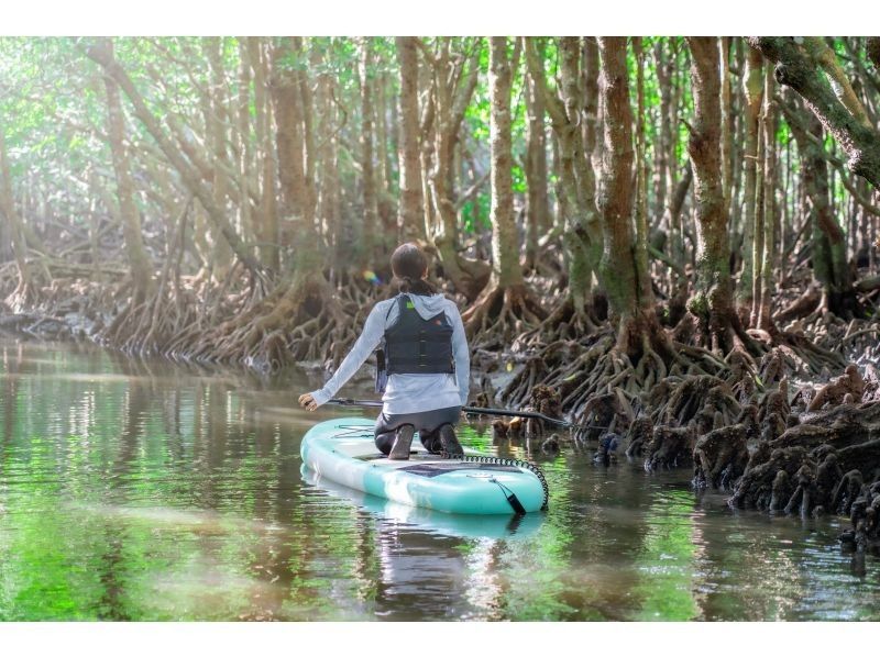 [Private tour for one group/SUP/canoe] Ishigaki Island's first! Mangrove & ocean drone/SLR photography included! "Tropical rainforest and clear blue ocean you can land on" guided by a professional island photographer!の紹介画像