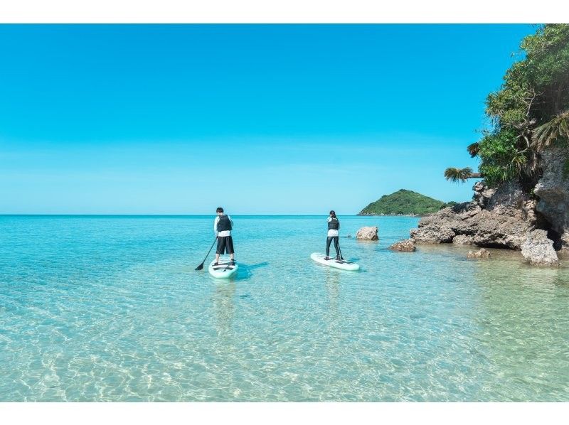 [Private tour for one group/SUP/canoe] Ishigaki Island's first! Mangrove & ocean drone/SLR photography included! "Tropical rainforest and clear blue ocean you can land on" guided by a professional island photographer!の紹介画像