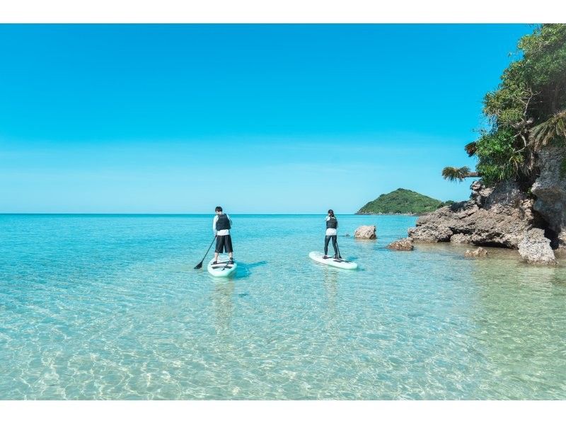 [Small group/SUP/Kayak] Ishigaki Island's first! Mangrove & ocean drone/SLR photography included! "Tropical rainforest and clear blue sea that you can land on" guided by a professional island photographerの紹介画像
