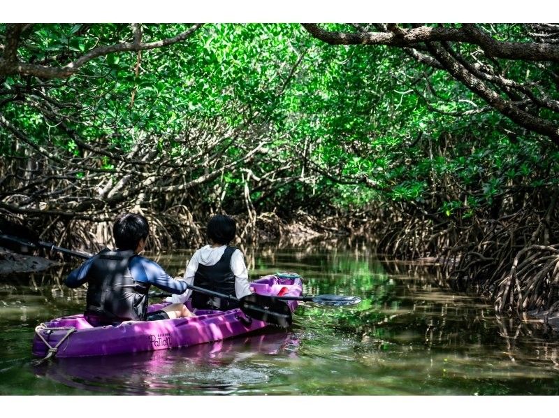 [Ishigaki Island / Limited to one group] Okinawa's first! Mangrove & ocean drone photography included! Natural monument mangrove & crystal clear ocean SUP/canoeing! Guided by a professional island photographerの紹介画像
