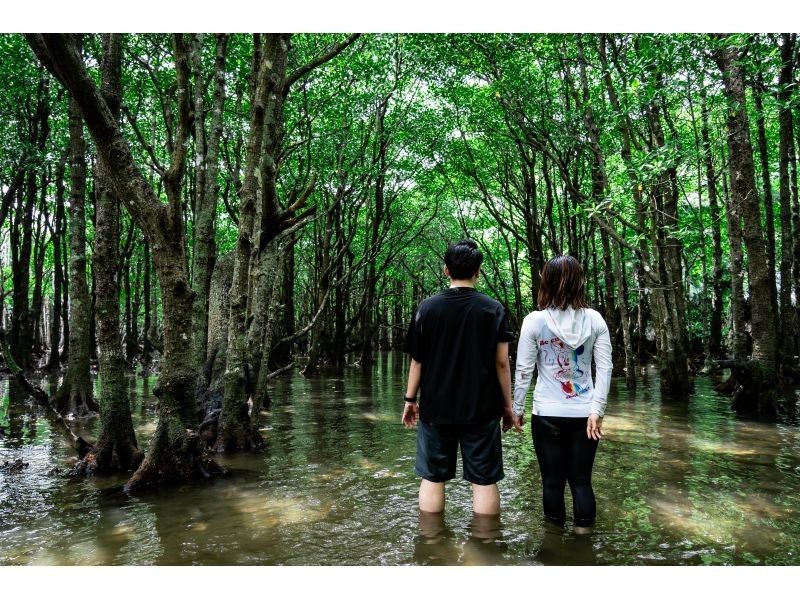 [Ishigaki Island / Limited to one group] Natural monument mangrove & clear ocean SUP/canoeing!