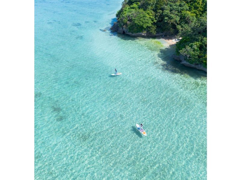 [Small group/SUP/Kayak] Ishigaki Island's first! Mangrove & ocean drone/SLR photography included! "Tropical rainforest and clear blue sea that you can land on" guided by a professional island photographerの紹介画像
