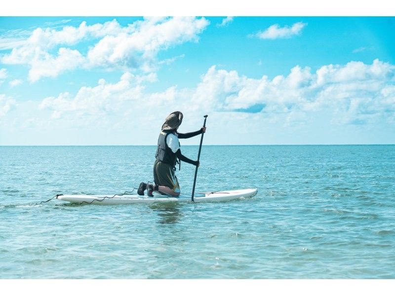 [Private tour for one group/SUP/canoe] Ishigaki Island's first! Mangrove & ocean drone/SLR photography included! "Tropical rainforest and clear blue ocean you can land on" guided by a professional island photographer!の紹介画像