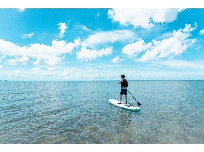 [Ishigaki Island / Limited to one group] Okinawa's first! Mangrove & ocean drone photography included! Mangrove that you can land on & crystal clear ocean SUP/canoe! Guided by a professional island photographerの紹介画像