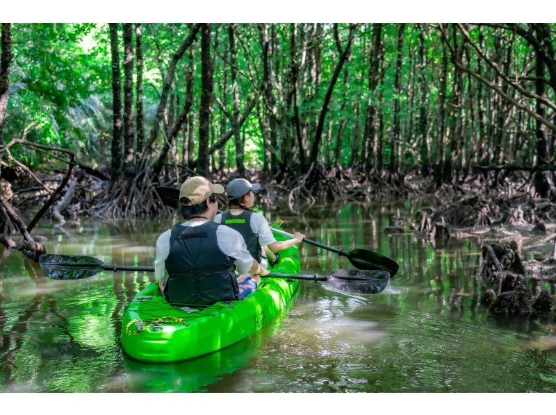 [Private tour for one group/SUP/canoe] Ishigaki Island's first! Mangrove & ocean drone/SLR photography included! "Tropical rainforest and clear blue ocean you can land on" guided by a professional island photographer!の紹介画像