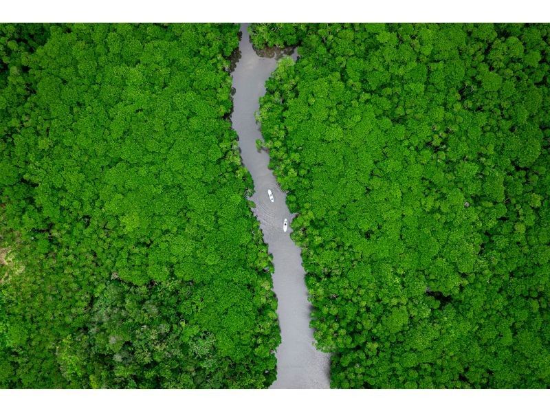 [Ishigaki Island / Limited to one group] Okinawa's first! Mangrove & ocean drone photography included! Mangrove that you can land on & crystal clear ocean SUP/canoe! Guided by a professional island photographerの紹介画像