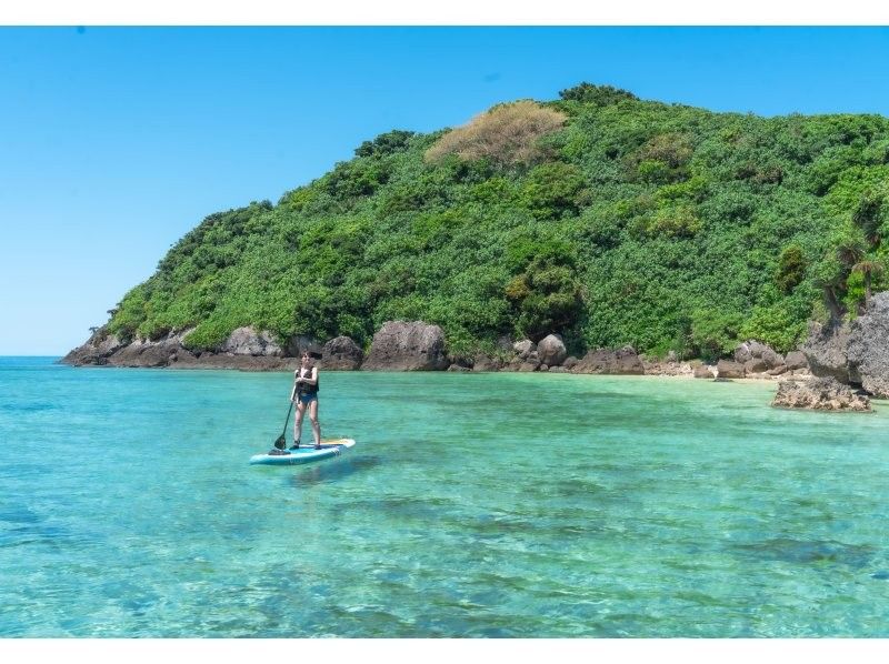 【少人数制/SUP・カヌー】石垣島初！マングローブ＆海ドローン・一眼レフ撮影付！『上陸できる熱帯雨林と青く透き通る海』島人プロカメラマン案内の紹介画像
