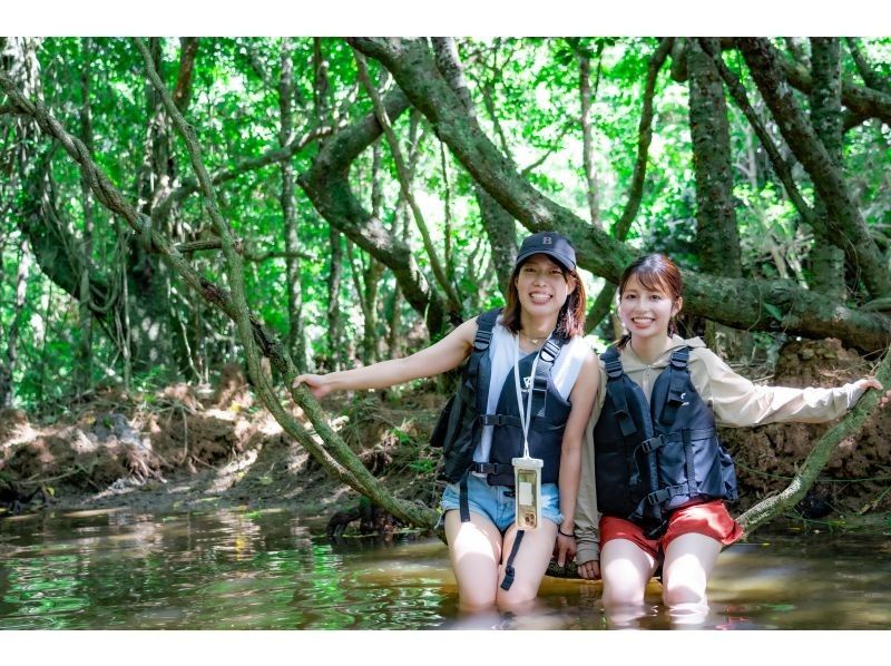 [Ishigaki Island / Limited to one group] Natural monument mangrove & clear ocean SUP/canoeing!