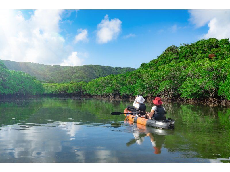 [Private tour for one group/SUP/canoe] Ishigaki Island's first! Mangrove & ocean drone/SLR photography included! "Tropical rainforest and clear blue ocean you can land on" guided by a professional island photographer!の紹介画像