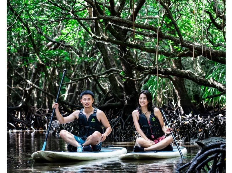 [Ishigaki Island / Limited to one group] Natural monument "Fukido River" mangrove & crystal clear sea SUP / kayak! Ishigaki Island's first mangrove drone photography included!の紹介画像