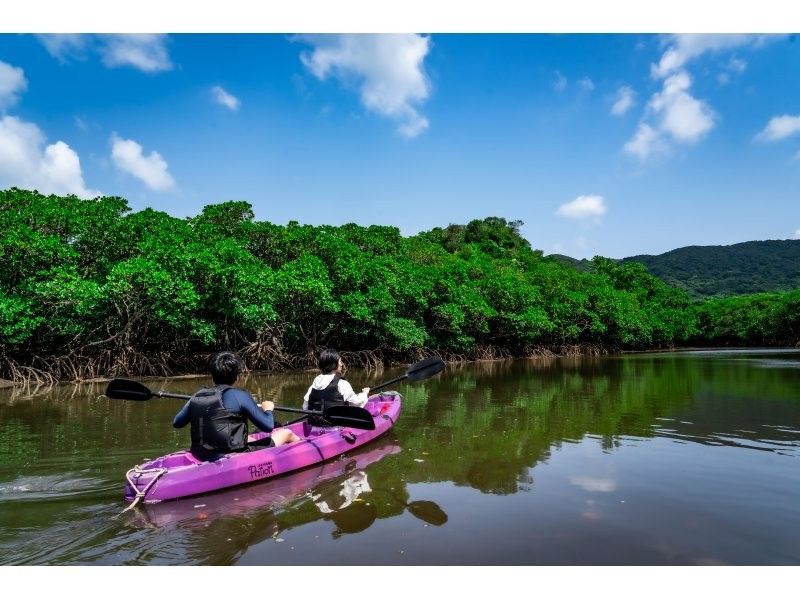 [Ishigaki Island / Limited to one group] First time on Ishigaki Island! Mangrove drone photography included! Natural monument mangrove & crystal clear sea SUP/kayak! Guided by a professional island photographer!の紹介画像