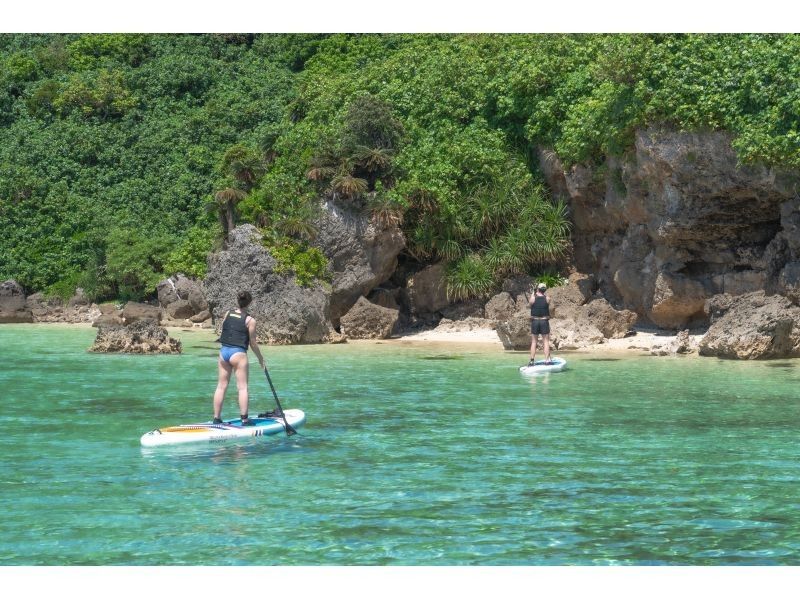 [Small group/SUP/Kayak] Ishigaki Island's first! Mangrove & ocean drone/SLR photography included! "Tropical rainforest and clear blue sea that you can land on" guided by a professional island photographerの紹介画像