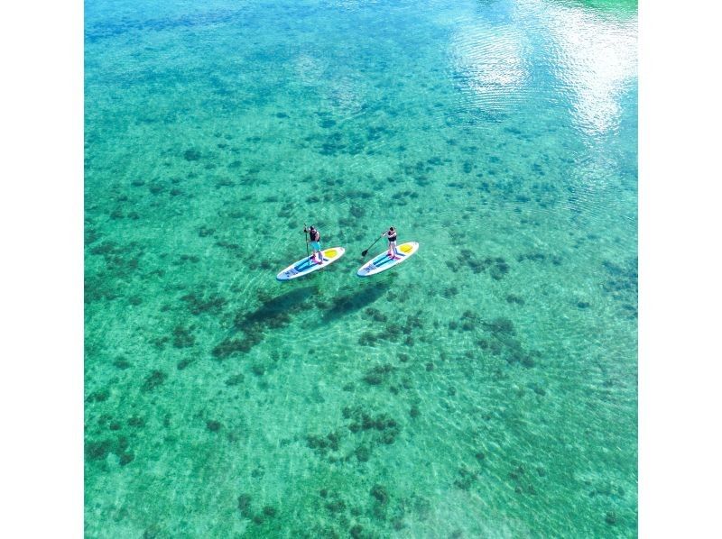 【少人数制/SUP・カヌー】石垣島初！マングローブ＆海ドローン・一眼レフ撮影付！『上陸できる熱帯雨林と青く透き通る海』島人プロカメラマン案内の紹介画像