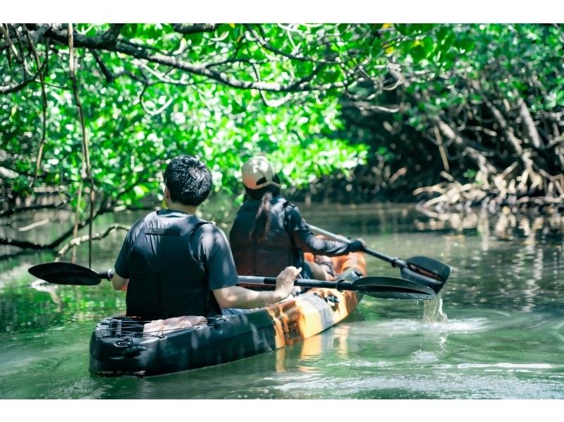 [Ishigaki Island / Limited to one group] Okinawa's first! Mangrove & ocean drone photography included! Mangrove that you can land on & crystal clear ocean SUP/canoe! Guided by a professional island photographerの紹介画像