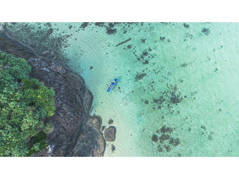 [Private tour for one group/SUP/canoe] Ishigaki Island's first! Mangrove & ocean drone/SLR photography included! "Tropical rainforest and clear blue ocean you can land on" guided by a professional island photographer!の紹介画像