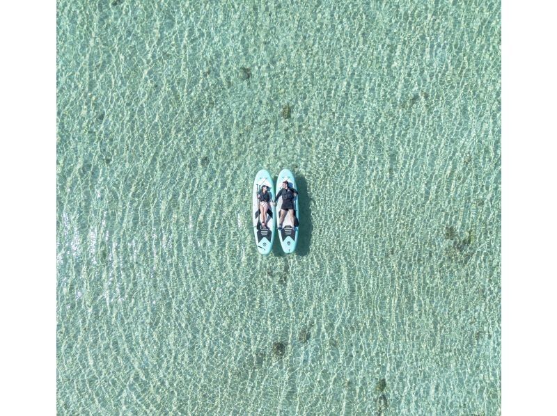 [Small group/SUP/Kayak] Ishigaki Island's first! Mangrove & ocean drone/SLR photography included! "Tropical rainforest and clear blue sea that you can land on" guided by a professional island photographerの紹介画像