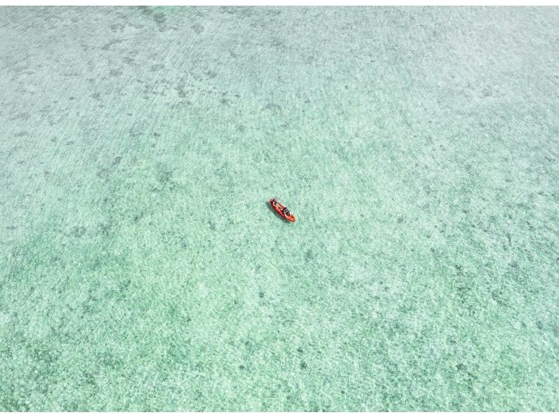 [Ishigaki Island / Limited to one group] Okinawa's first! Mangrove & ocean drone photography included! Mangrove that you can land on & crystal clear ocean SUP/canoe! Guided by a professional island photographerの紹介画像