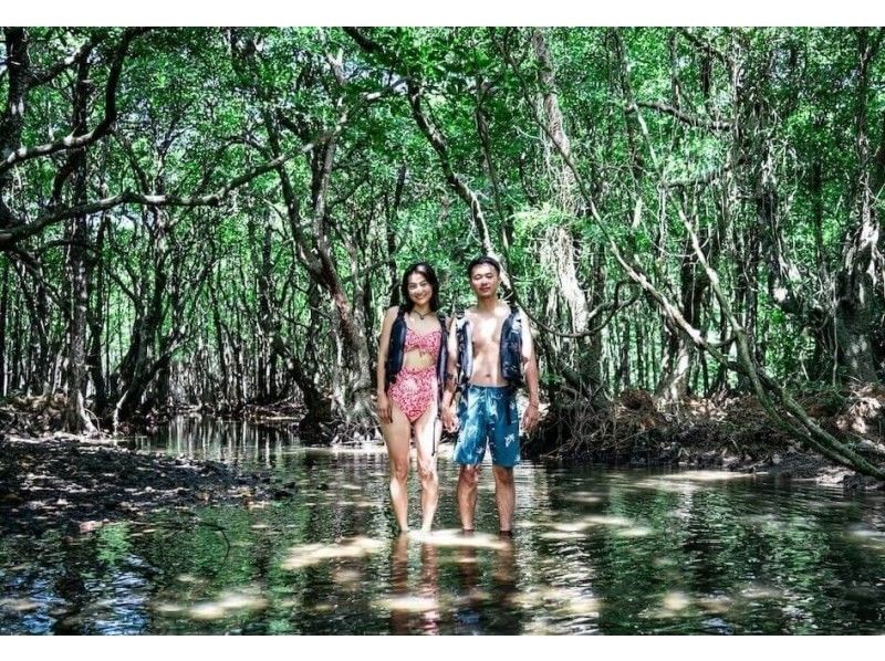 [Ishigaki Island / Limited to one group] First time on Ishigaki Island! Mangrove drone photography included! Natural monument mangrove & crystal clear sea SUP/kayak! Guided by a professional island photographer!の紹介画像
