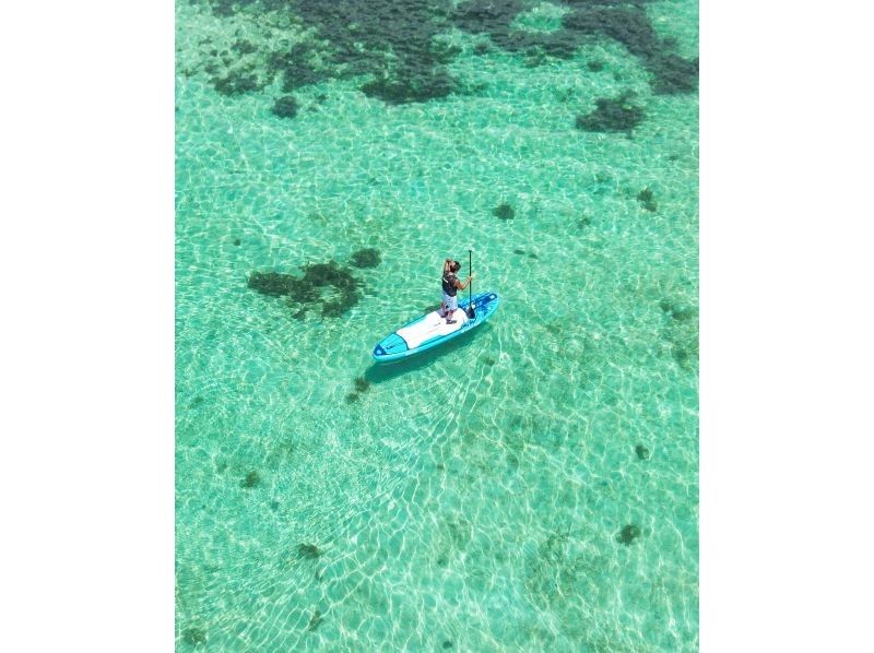 【少人数制/SUP・カヤック】２才〜可！海＆マングローブドローン・一眼レフ撮影付！『青く澄んだ海と上陸できる熱帯雨林』島人プロカメラマン案内の紹介画像