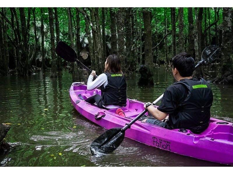 [Ishigaki Island / Limited to one group] Ishigaki Island's first! Mangrove & ocean drone photography included! Natural monument mangrove & crystal clear ocean SUP/canoeing! Guided by a professional island photographerの紹介画像