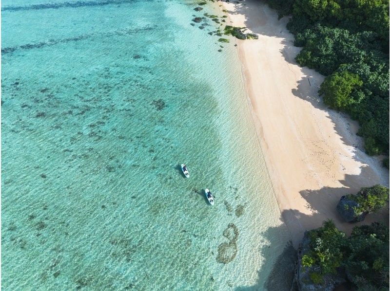 [Private tour for one group/SUP/canoe] Ishigaki Island's first! Mangrove & ocean drone/SLR photography included! "Tropical rainforest and clear blue ocean you can land on" guided by a professional island photographer!の紹介画像