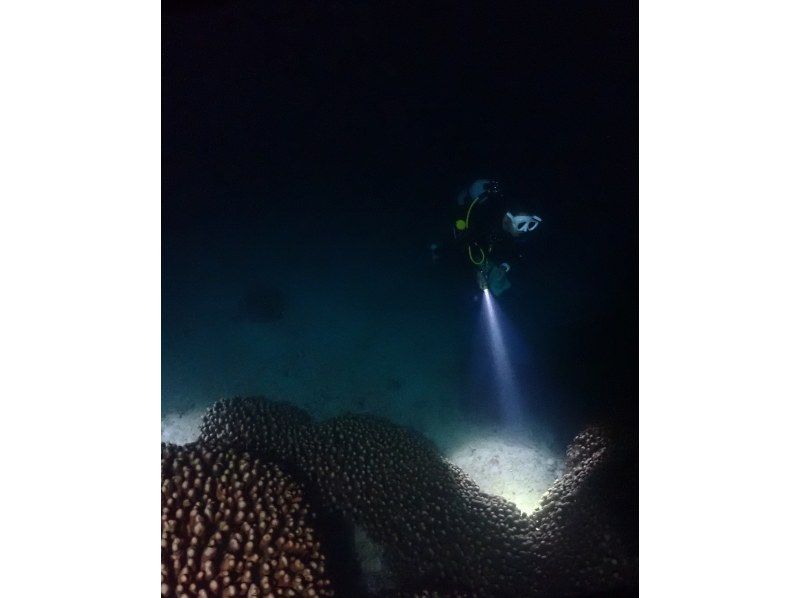 【沖縄・石垣島】ファンダイビング（FUNdiving）・2ダイブ初心者〜上級者までの紹介画像