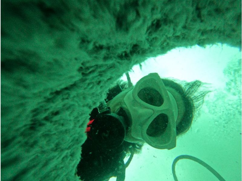 【沖縄・石垣島】ファンダイビング（FUNdiving）・2ダイブ〜中級者以上の方向けコース（ライセンス必須）の紹介画像