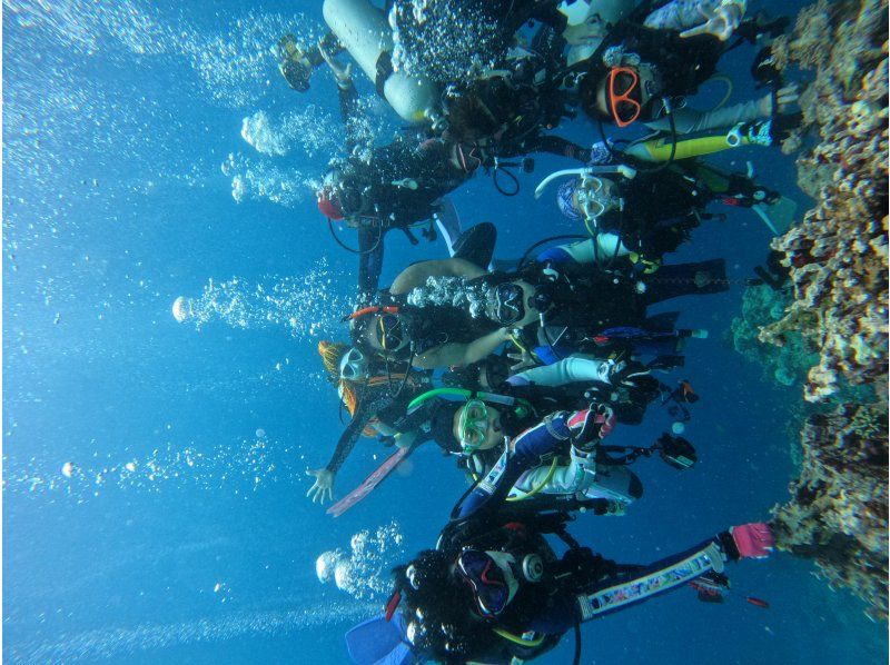 【沖縄・石垣島】ファンダイビング（FUNdiving）・2ダイブ〜中級者以上の方向けコース（ライセンス必須）の紹介画像