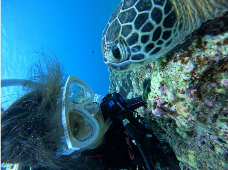 [Okinawa, Ishigaki Island] Trial Diving - 2 Dives ~ Beginners are welcome! (1-day course)の紹介画像