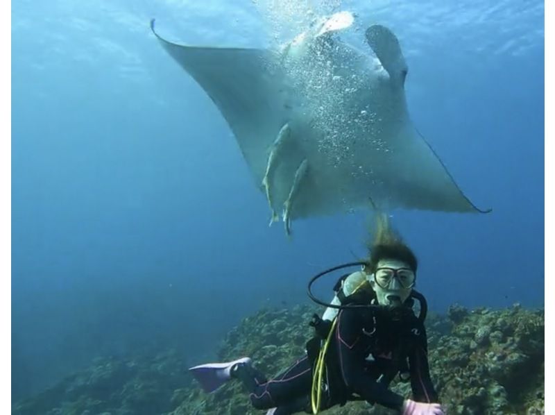 [Okinawa, Ishigaki Island] Trial Diving - 2 Dives ~ Beginners are welcome! (1-day course)の紹介画像