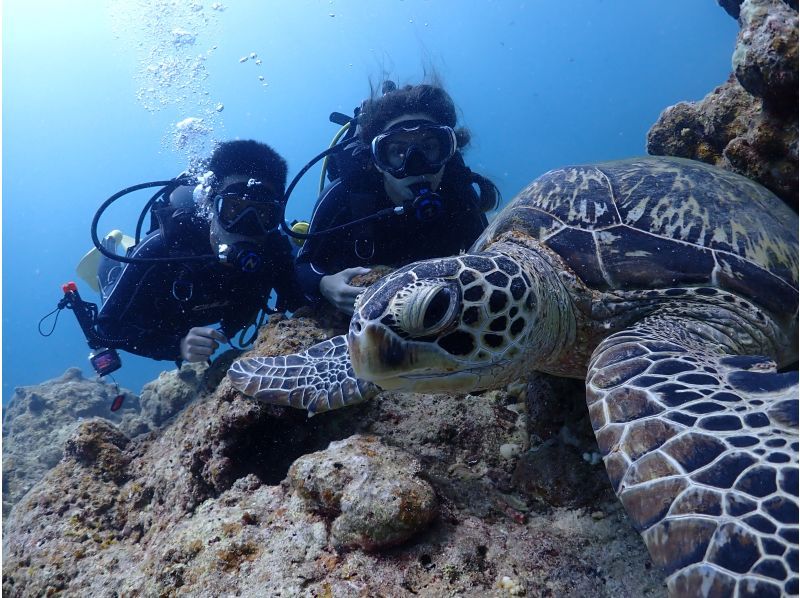 [Okinawa, Ishigaki Island] Trial Diving - 2 Dives ~ Beginners are welcome! (1-day course)の紹介画像