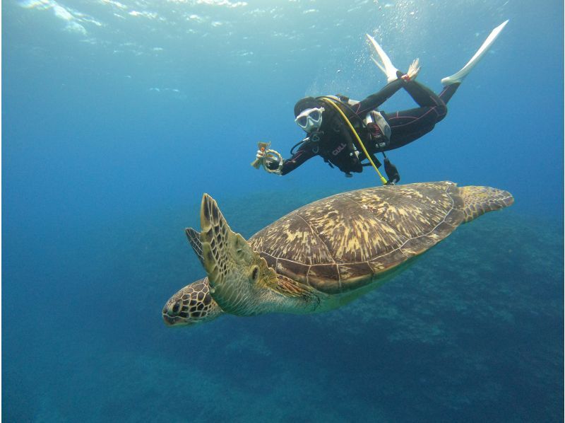 [Okinawa, Ishigaki Island] Trial Diving - 2 Dives ~ Beginners are welcome! (1-day course)の紹介画像