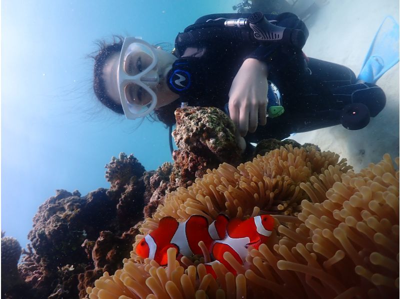 [Okinawa, Ishigaki Island] Trial Diving - 2 Dives ~ Beginners are welcome! (1-day course)の紹介画像